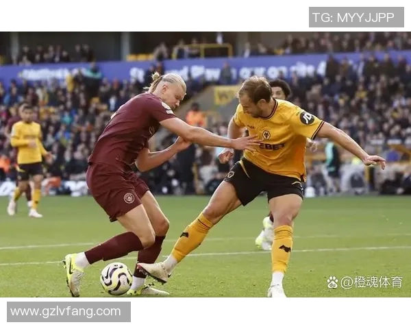 曼城与狼队激战回顾1月15日精彩比赛录像全程回放