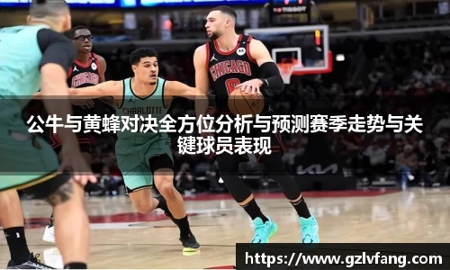 公牛与黄蜂对决全方位分析与预测赛季走势与关键球员表现